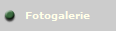 Fotogalerie