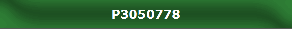 P3050778