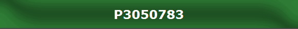 P3050783