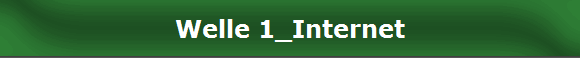 Welle 1_Internet